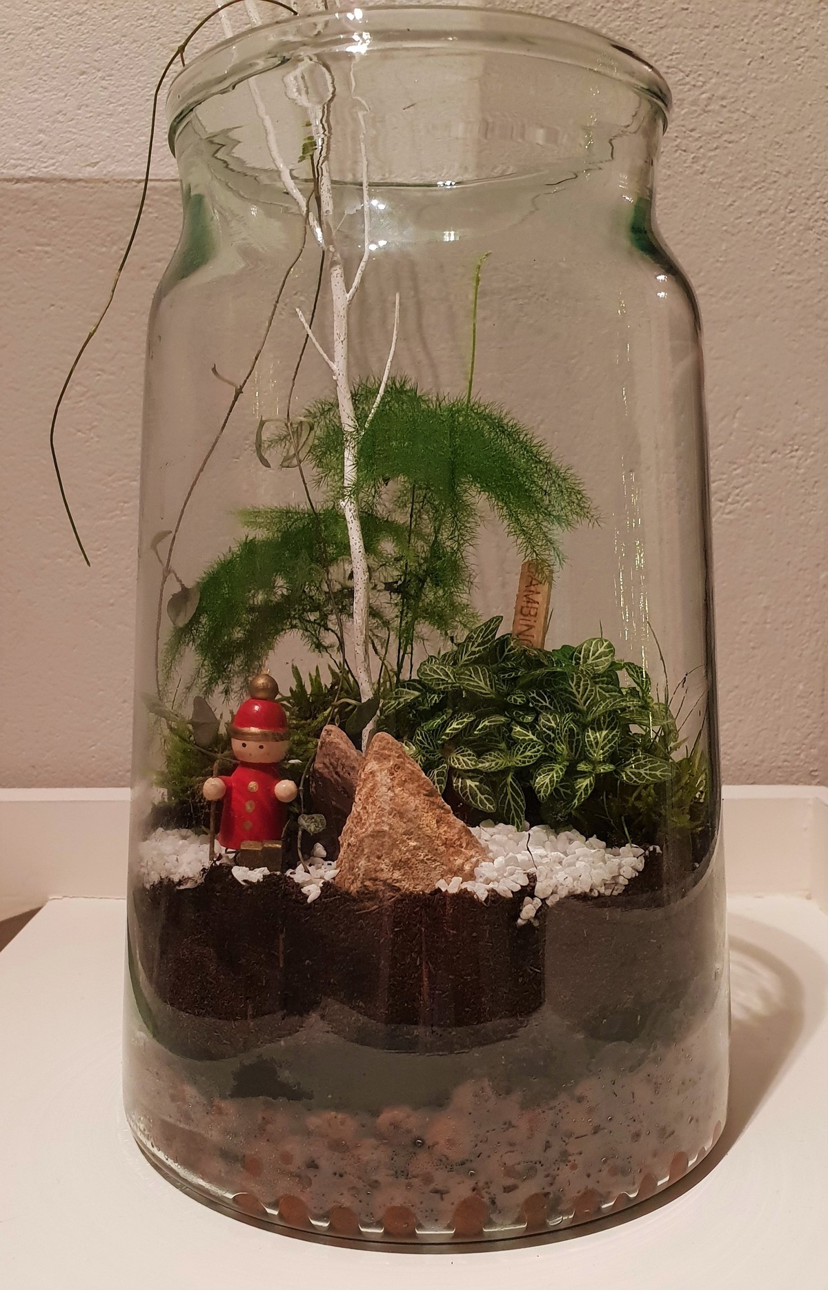 Un terrarium ouvert Fleurs, etc.