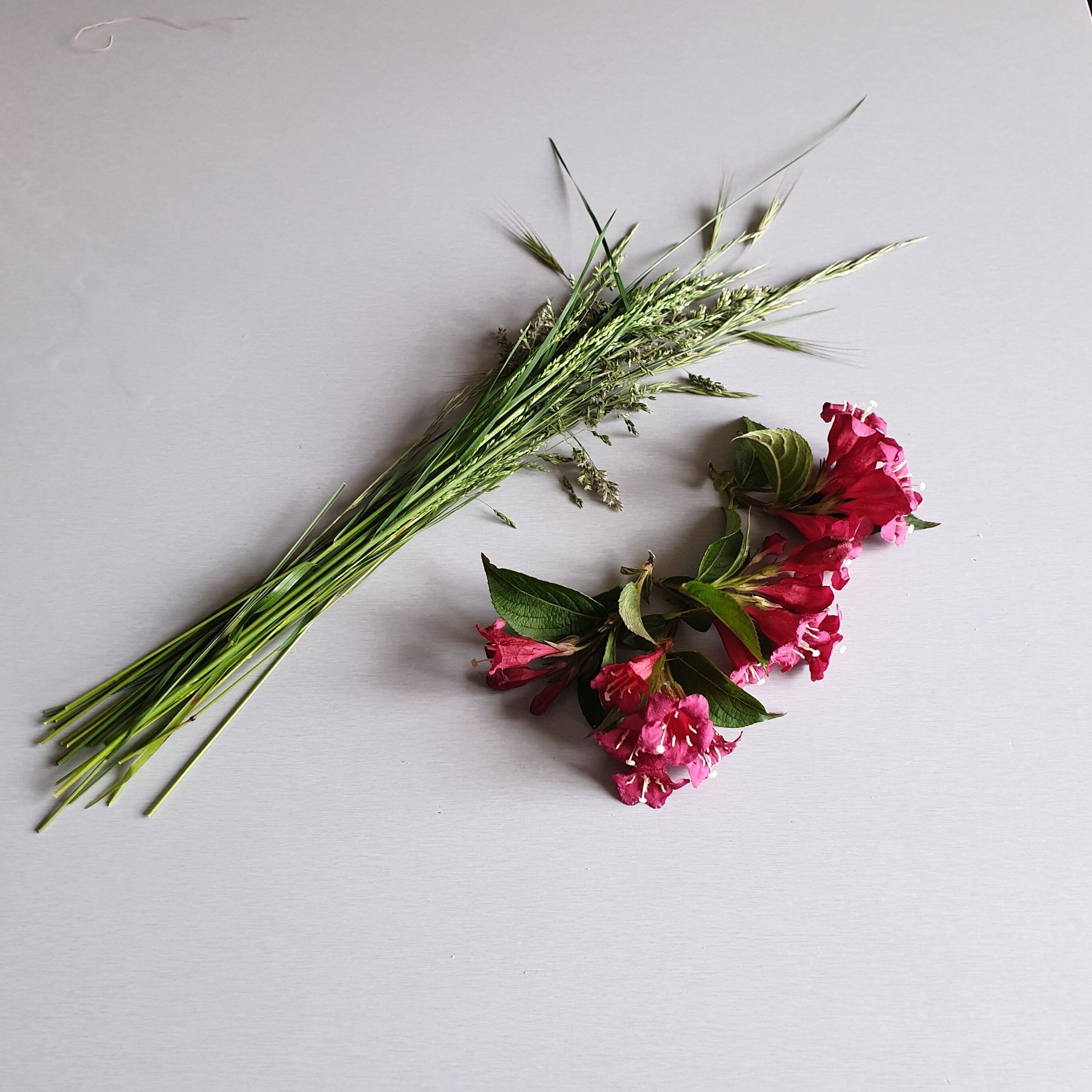 Bouquets « Rouge Weigelia » .