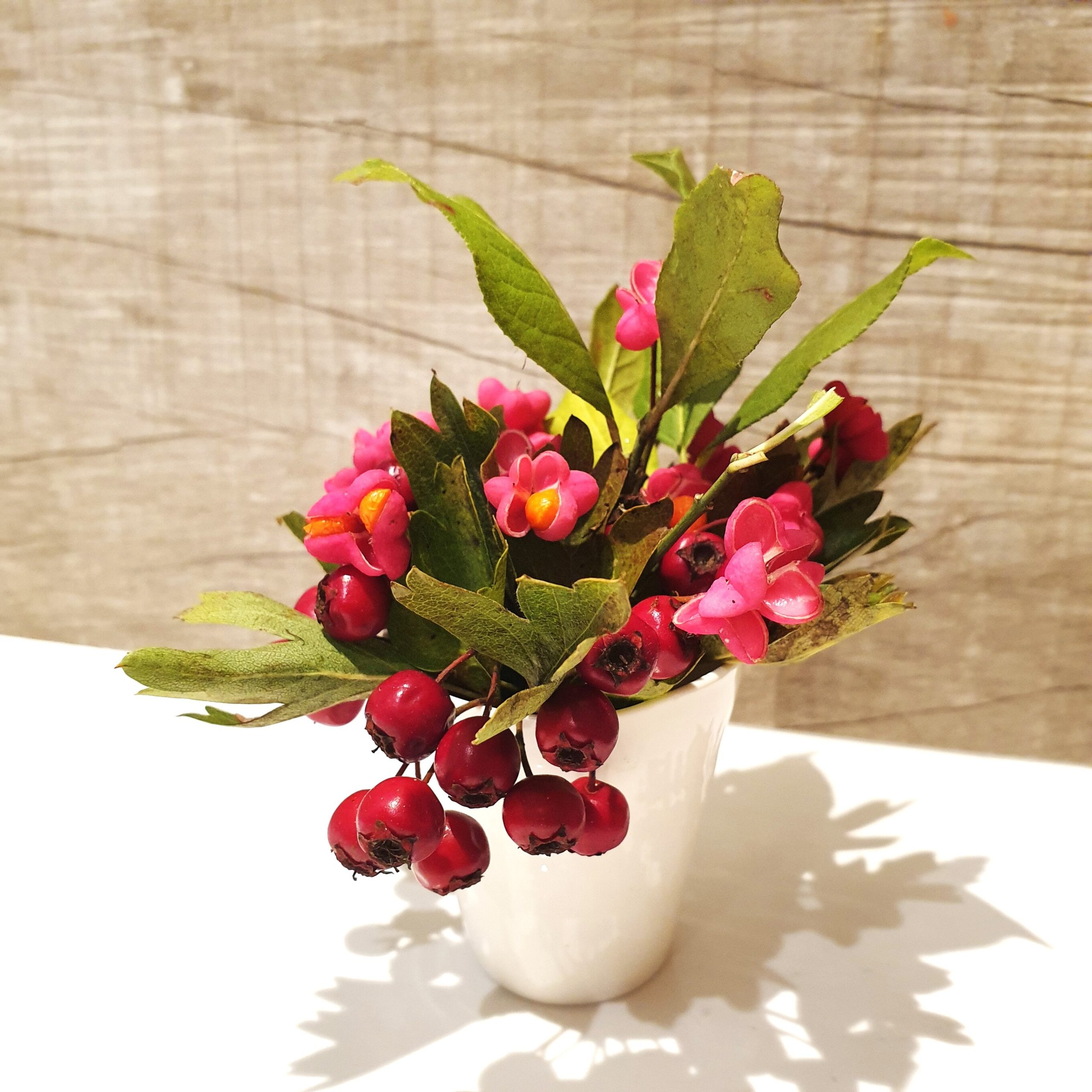 L’automne en habit rouge.