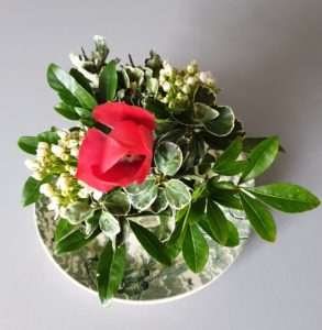 Du bambou et du fusain dans les bouquets de mars .