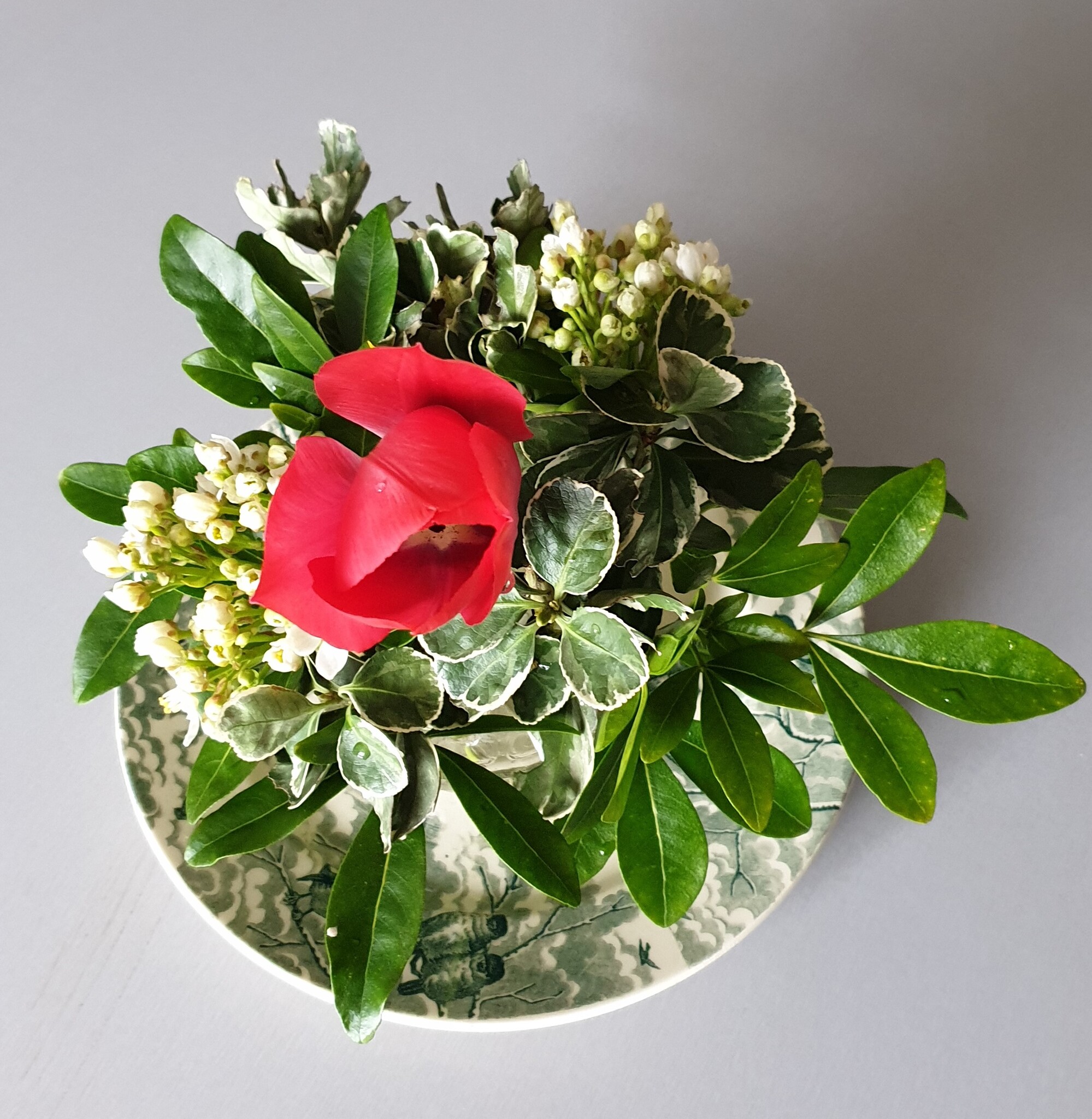 Du bambou et du fusain dans les bouquets de mars .